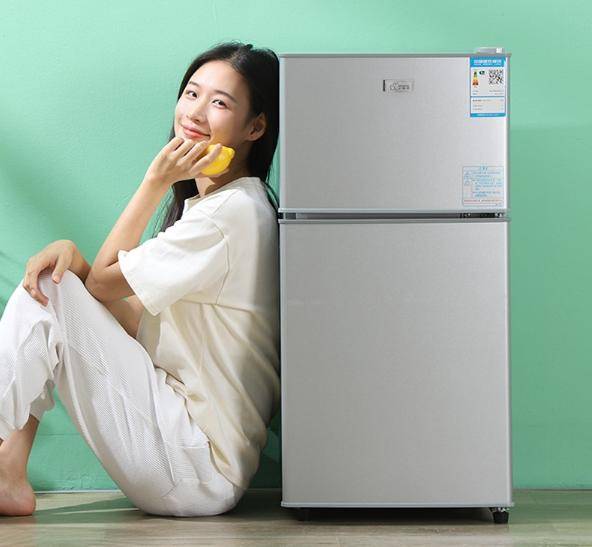 又省电？租房族必备实用省电小冰箱推荐爱游戏网站入口小冰箱哪个牌子好又实惠(图2)