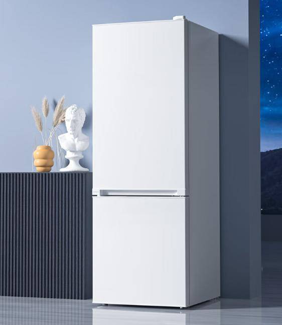 又省电？租房族必备实用省电小冰箱推荐爱游戏网站入口小冰箱哪个牌子好又实惠(图4)