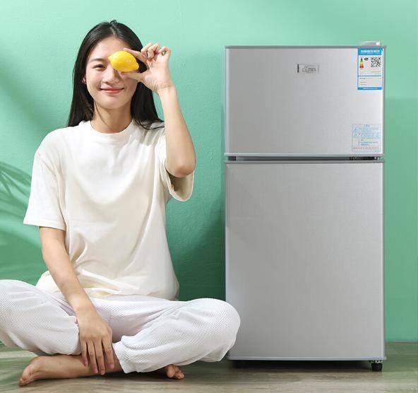 又省电？租房族必备实用省电小冰箱推荐爱游戏网站入口小冰箱哪个牌子好又实惠(图5)